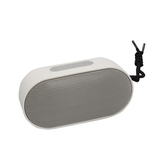 P-CS5309B Bluetooth Speaker
