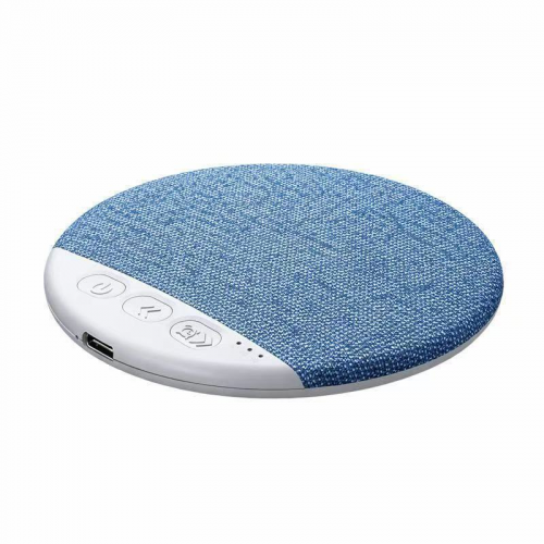 P-CS2101B Bluetooth Speaker