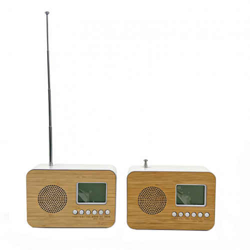 P-Y1966 Bamboo Radio